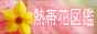 熱帯花図鑑